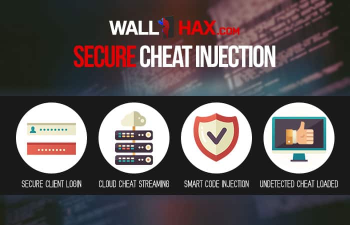 Stay undetected with wallhax's secure method for loading hacks.