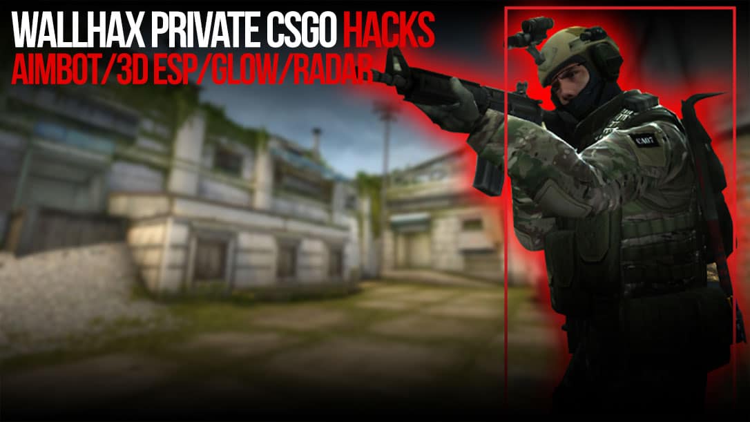 Counter Strike Global Offensive Hack Video